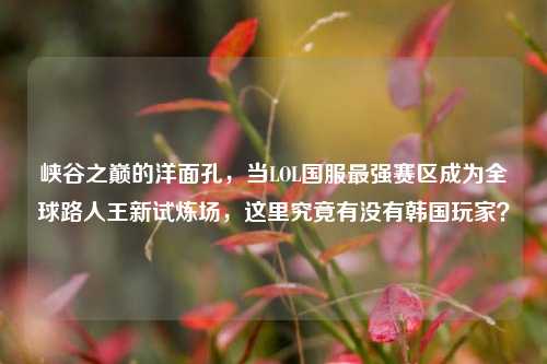 峡谷之巅的洋面孔，当LOL国服最强赛区成为全球路人王新试炼场，这里究竟有没有韩国玩家？