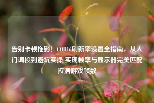 告别卡顿拖影!COD16刷新率设置全指南,从入门调校到避坑实操 实现帧率与显示器完美匹配拉满游戏帧数