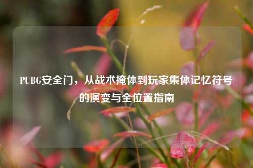 PUBG安全门，从战术掩体到玩家集体记忆符号的演变与全位置指南