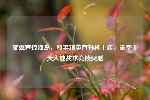 旋翼声掠海岛，和平精英直升机上线，重塑上天入地战术竞技爽感