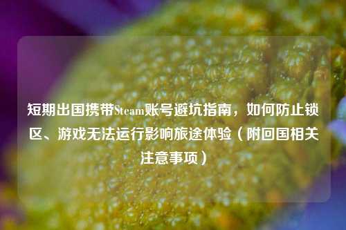 短期出国携带Steam账号避坑指南,如何防止锁区、游戏无法运行影响旅途体验(附回国相关注意事项)