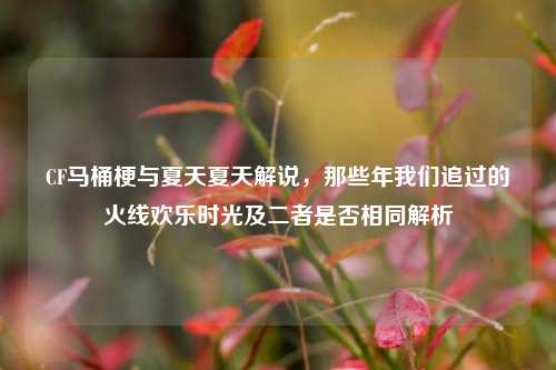 CF马桶梗与夏天夏天解说，那些年我们追过的火线欢乐时光及二者是否相同解析