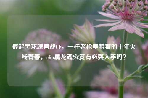 握起黑龙魂再战CF,一杆老枪里藏着的十年火线青春,cfm黑龙魂究竟有必要入手吗?