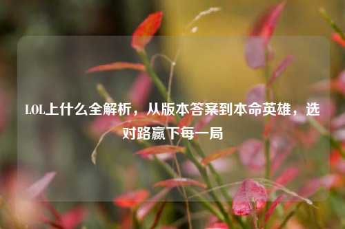 LOL上什么全解析，从版本答案到本命英雄，选对路赢下每一局