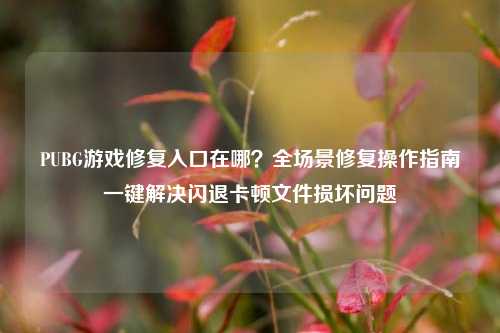 PUBG游戏修复入口在哪?全场景修复操作指南一键解决闪退卡顿文件损坏问题
