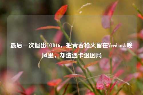 最后一次退出COD16,把青春枪火留在Verdansk晚风里,却遭遇卡退困局