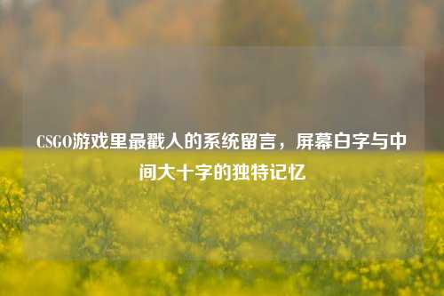 CSGO游戏里最戳人的系统留言,屏幕白字与中间大十字的独特记忆