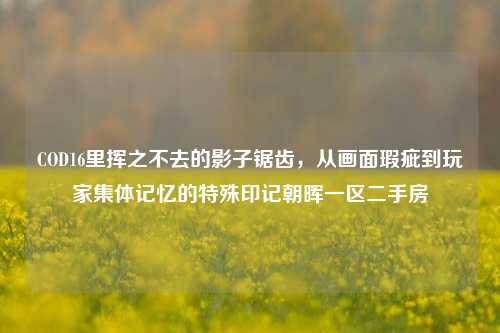 COD16里挥之不去的影子锯齿,从画面瑕疵到玩家集体记忆的特殊印记朝晖一区二手房