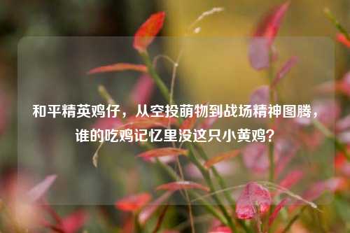 和平精英鸡仔,从空投萌物到战场精神图腾,谁的吃鸡记忆里没这只小黄鸡?
