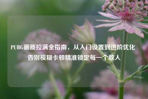 PUBG画质拉满全指南,从入门设置到进阶优化 告别模糊卡顿精准锁定每一个敌人