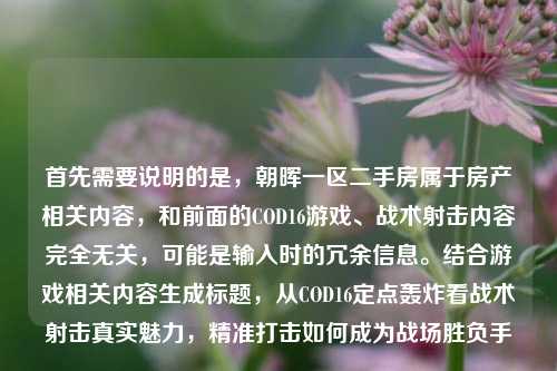 首先需要说明的是，朝晖一区二手房属于房产相关内容，和前面的COD16游戏、战术射击内容完全无关，可能是输入时的冗余信息。结合游戏相关内容生成标题，从COD16定点轰炸看战术射击真实魅力，精准打击如何成为战场胜负手