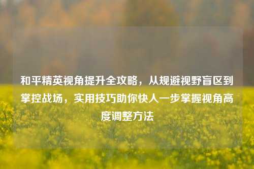 和平精英视角提升全攻略,从规避视野盲区到掌控战场,实用技巧助你快人一步掌握视角高度调整方法