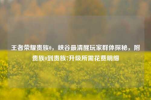 王者荣耀贵族0,峡谷最清醒玩家群体探秘,附贵族0到贵族7升级所需花费明细