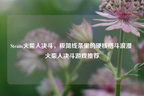 Steam火柴人决斗,极简线条里的硬核格斗浪漫 火柴人决斗游戏推荐