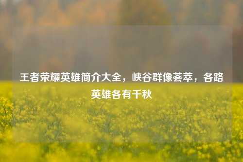 王者荣耀英雄简介大全,峡谷群像荟萃,各路英雄各有千秋