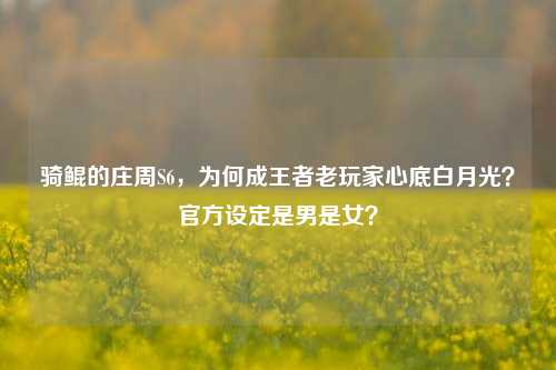 骑鲲的庄周S6,为何成王者老玩家心底白月光?官方设定是男是女?