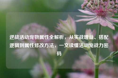 逆战活动宠物属性全解析,从实战增益、搭配逻辑到属性修改方法,一文读懂活动宠战力密码