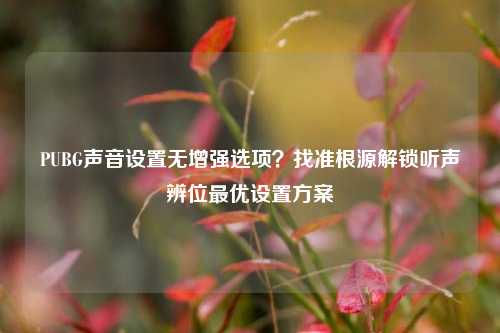 PUBG声音设置无增强选项?找准根源解锁听声辨位最优设置方案