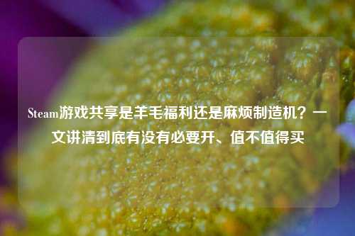 Steam游戏共享是羊毛福利还是麻烦制造机?一文讲清到底有没有必要开、值不值得买