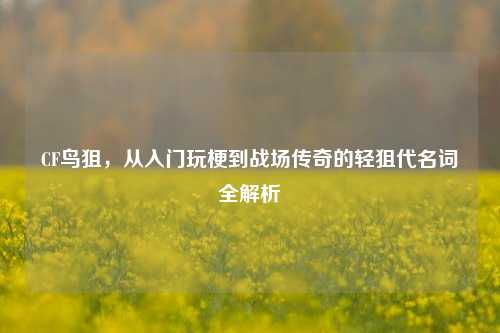 CF鸟狙,从入门玩梗到战场传奇的轻狙代名词全解析
