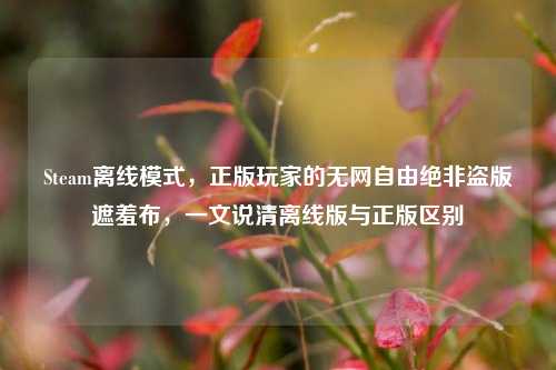 Steam离线模式,正版玩家的无网自由绝非盗版遮羞布,一文说清离线版与正版区别