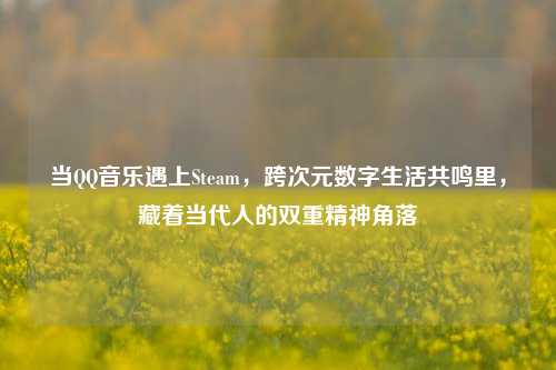 当QQ音乐遇上Steam,跨次元数字生活共鸣里,藏着当代人的双重精神角落