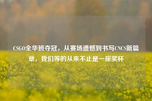 CSGO全华班夺冠,从赛场遗憾到书写CNCS新篇章,我们等的从来不止是一座奖杯