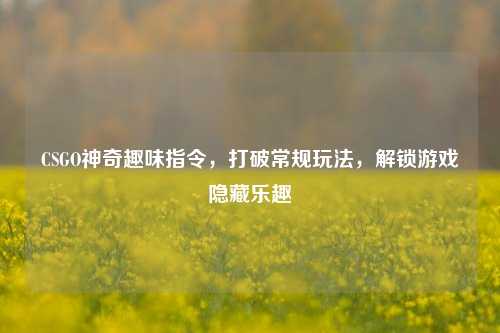 CSGO神奇趣味指令,打破常规玩法,解锁游戏隐藏乐趣