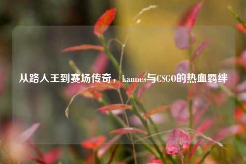 从路人王到赛场传奇,kannes与CSGO的热血羁绊