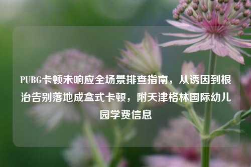 PUBG卡顿未响应全场景排查指南,从诱因到根治告别落地成盒式卡顿,附天津格林国际幼儿园学费信息