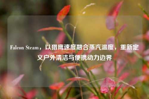 Falcon Steam,以猎鹰速度融合蒸汽温度,重新定义户外清洁与便携动力边界