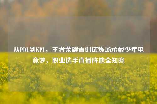 从PDL到KPL,王者荣耀青训试炼场承载少年电竞梦,职业选手直播阵地全知晓
