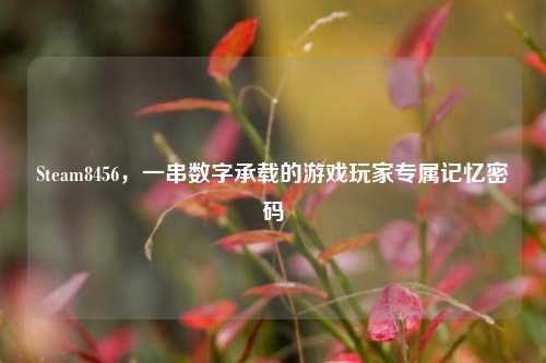 Steam8456,一串数字承载的游戏玩家专属记忆密码