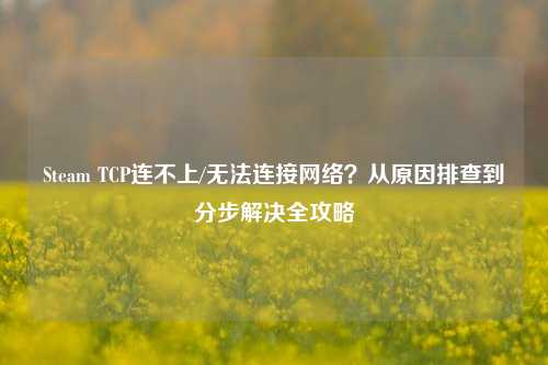 Steam TCP连不上/无法连接网络?从原因排查到分步解决全攻略