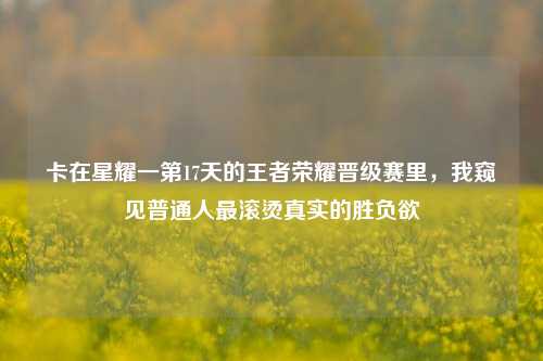 卡在星耀一第17天的王者荣耀晋级赛里,我窥见普通人最滚烫真实的胜负欲