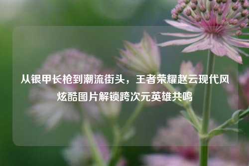 从银甲长枪到潮流街头，王者荣耀赵云现代风炫酷图片解锁跨次元英雄共鸣