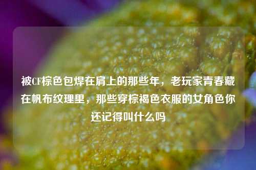 被CF棕色包焊在肩上的那些年,老玩家青春藏在帆布纹理里,那些穿棕褐色衣服的女角色你还记得叫什么吗