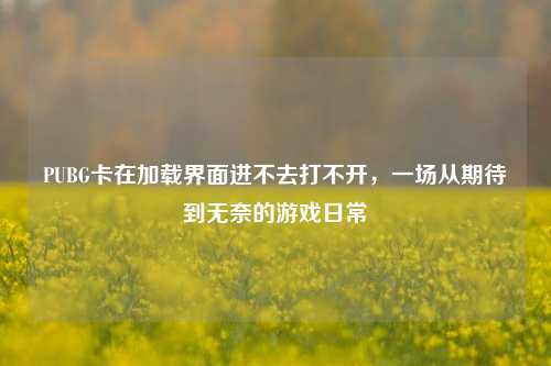 PUBG卡在加载界面进不去打不开，一场从期待到无奈的游戏日常