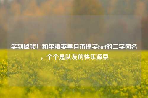 笑到掉帧!和平精英里自带搞笑buff的二字网名,个个是队友的快乐源泉