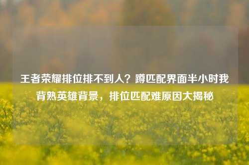 王者荣耀排位排不到人?蹲匹配界面半小时我背熟英雄背景,排位匹配难原因大揭秘