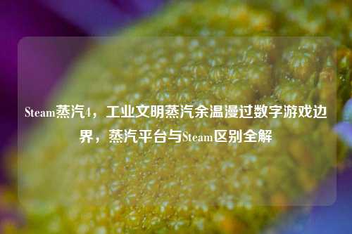 Steam蒸汽4,工业文明蒸汽余温漫过数字游戏边界,蒸汽平台与Steam区别全解
