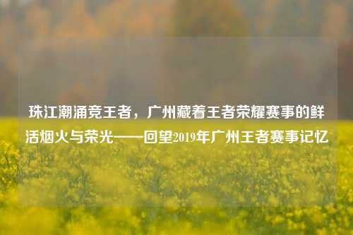 珠江潮涌竞王者,广州藏着王者荣耀赛事的鲜活烟火与荣光——回望2019年广州王者赛事记忆