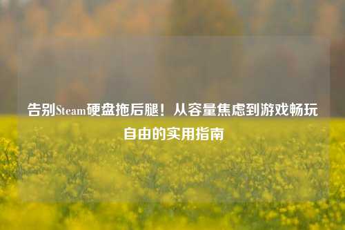 告别Steam硬盘拖后腿!从容量焦虑到游戏畅玩自由的实用指南