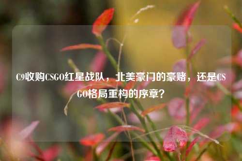 C9收购CSGO红星战队,北美豪门的豪赌,还是CSGO格局重构的序章?