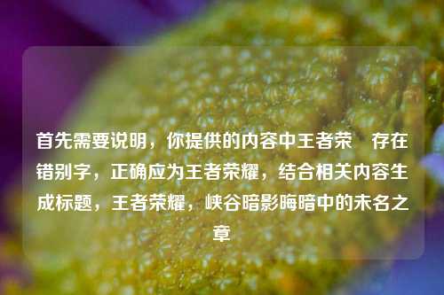 首先需要说明,你提供的内容中王者荣粎存在错别字,正确应为王者荣耀,结合相关内容生成标题,王者荣耀,峡谷暗影晦暗中的未名之章