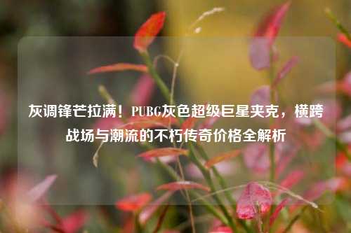 灰调锋芒拉满!PUBG灰色超级巨星夹克,横跨战场与潮流的不朽传奇价格全解析