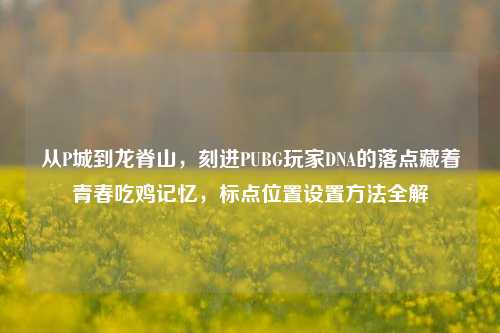 从P城到龙脊山,刻进PUBG玩家DNA的落点藏着青春吃鸡记忆,标点位置设置方法全解