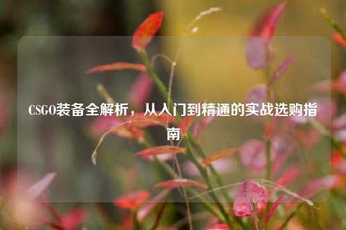 CSGO装备全解析,从入门到精通的实战选购指南