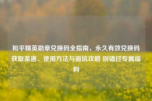 和平精英勋章兑换码全指南,永久有效兑换码获取渠道、使用方法与避坑攻略 别错过专属福利