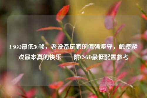 CSGO最低30帧,老设备玩家的倔强坚守,触摸游戏最本真的快乐——附CSGO最低配置参考